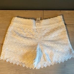 NWT Lace LOFT Shorts